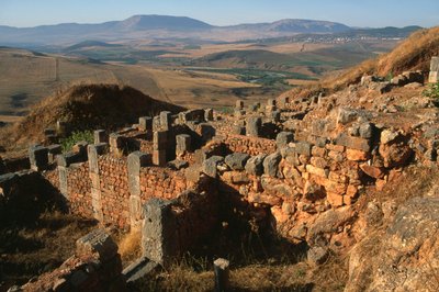 Gesamtansicht des Geländes von Roman